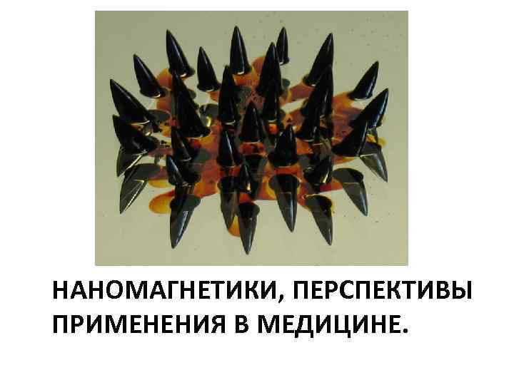 НАНОМАГНЕТИКИ, ПЕРСПЕКТИВЫ ПРИМЕНЕНИЯ В МЕДИЦИНЕ. 