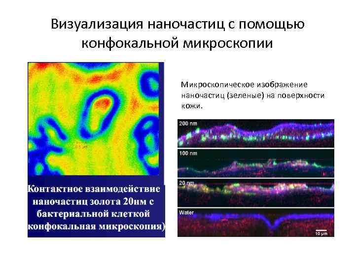 Визуализация наночастиц с помощью конфокальной микроскопии Микроскопическое изображение наночастиц (зеленые) на поверхности кожи. 