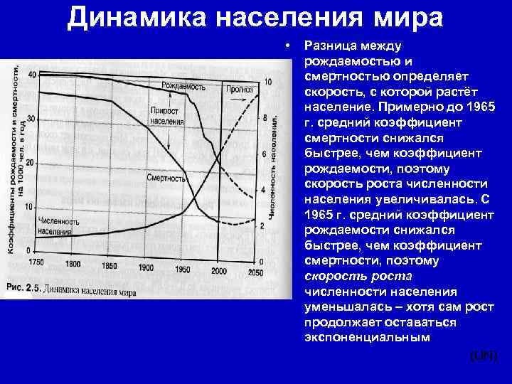 Динамика населения мира • Разница между рождаемостью и смертностью определяет скорость, с которой растёт