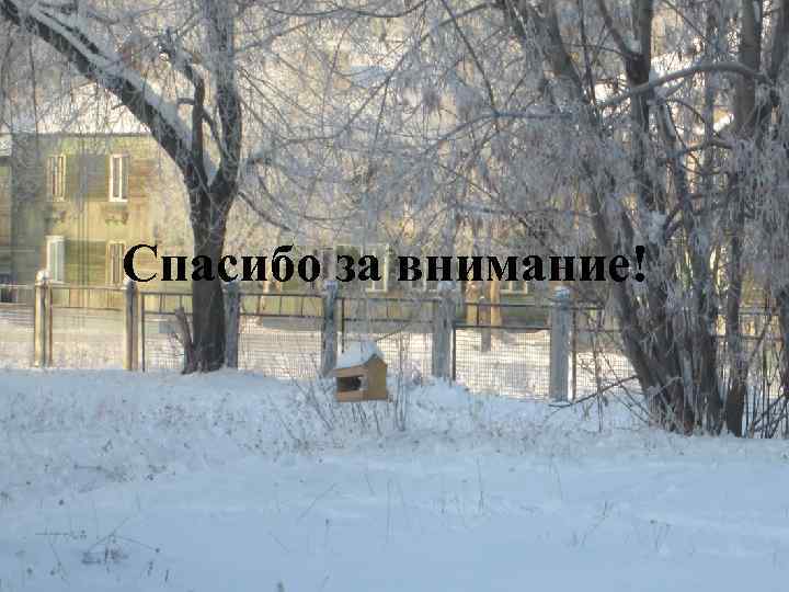 Спасибо за внимание! 