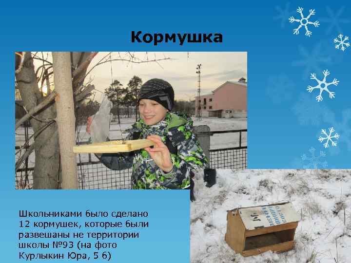 Кормушка Школьниками было сделано 12 кормушек, которые были развешаны не территории школы № 93