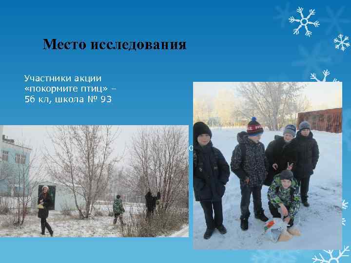 Место исследования Участники акции «покормите птиц» – 5 б кл, школа № 93 Красноярский