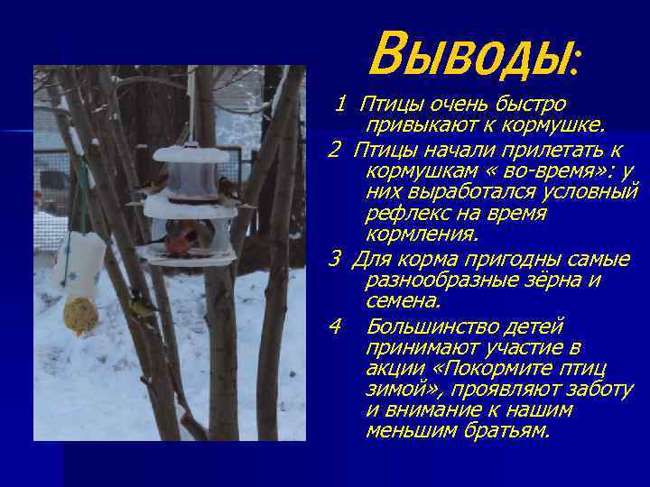 Выводы: 1 Птицы очень быстро привыкают к кормушке. 2 Птицы начали прилетать к кормушкам