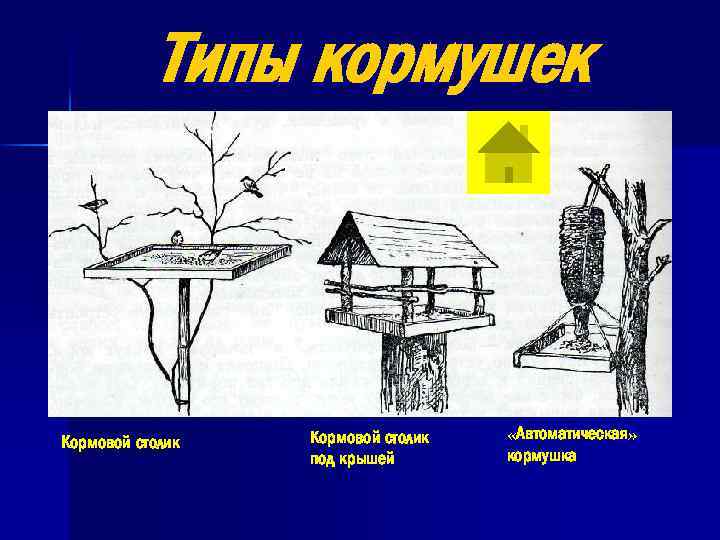 Типы кормушек Кормовой столик под крышей «Автоматическая» кормушка 