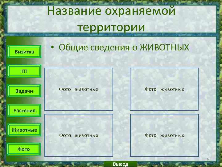 Название охраняемой территории Визитка • Общие сведения о ЖИВОТНЫХ ГП Задачи Фото животных Растения