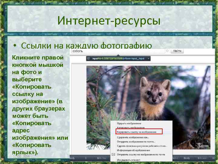 Интернет-ресурсы • Ссылки на каждую фотографию Кликните правой кнопкой мышкой на фото и выберите