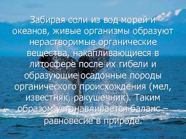 Забирая соли из вод морей и океанов, живые организмы образуют нерастворимые органические вещества, накапливающиеся