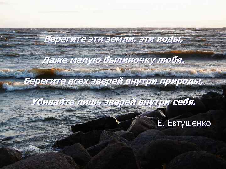 Берегите эти земли, эти воды, Даже малую былиночку любя. Берегите всех зверей внутри природы,