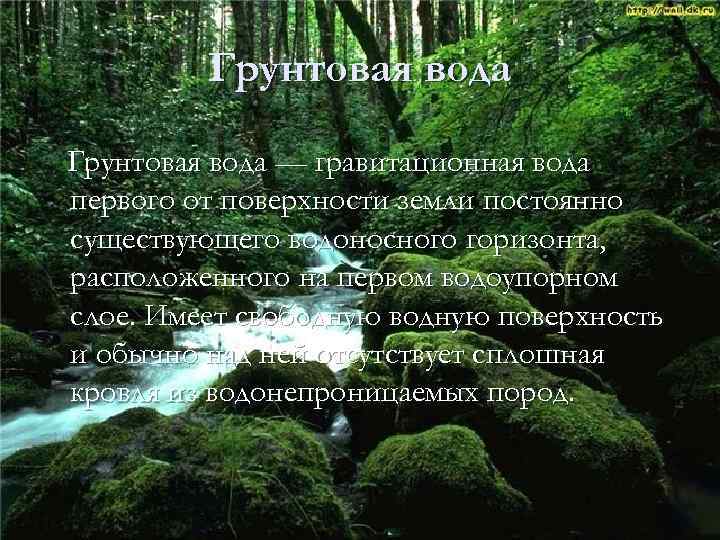 Грунтовая вода — гравитационная вода первого от поверхности земли постоянно существующего водоносного горизонта, расположенного