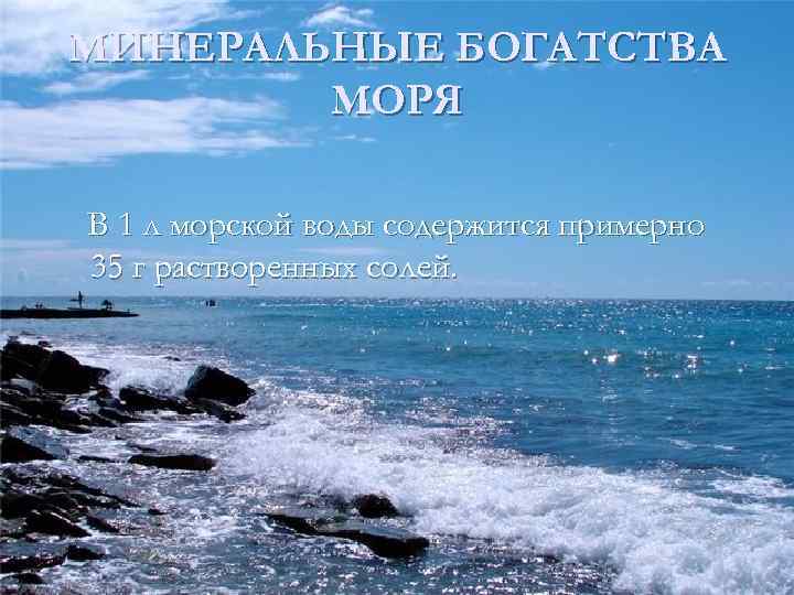 МИНЕРАЛЬНЫЕ БОГАТСТВА МОРЯ В 1 л морской воды содержится примерно 35 г растворенных солей.