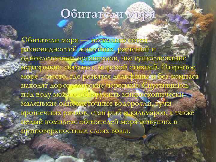 Обитатели моря — несколько сотен разновидностей животных, растений и одноклеточных организмов, чье существование неразрывно