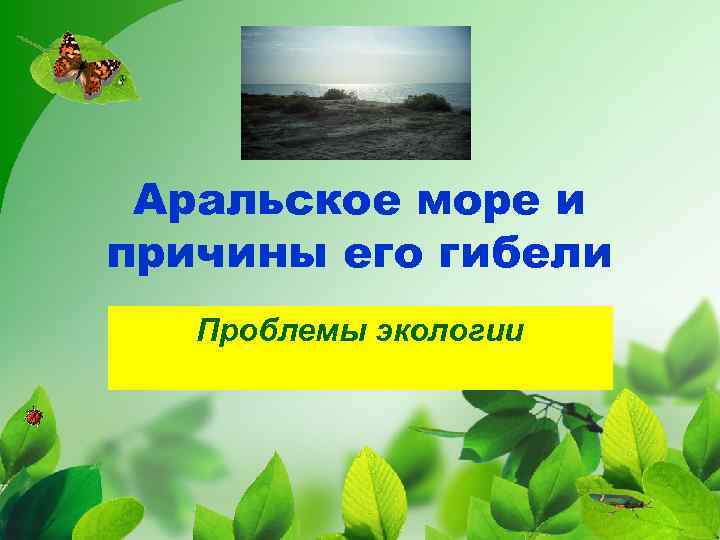 Аральское море и причины его гибели Проблемы экологии 