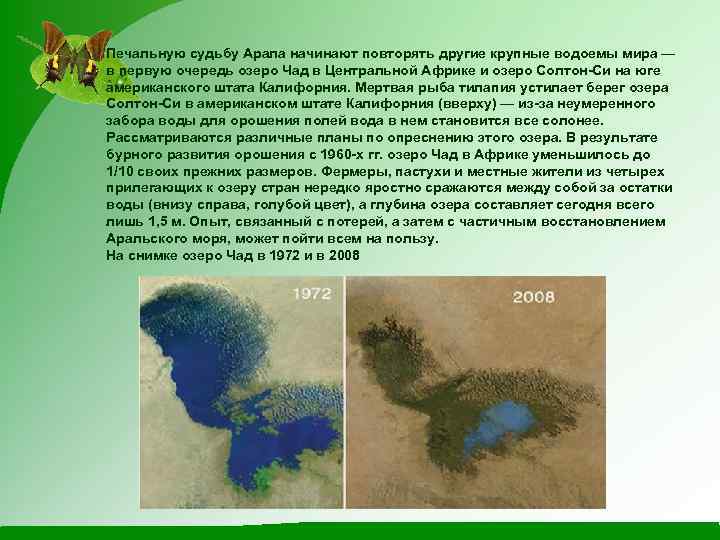 Печальную судьбу Арала начинают повторять другие крупные водоемы мира — в первую очередь озеро