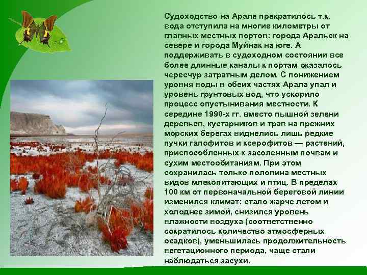 Судоходство на Арале прекратилось т. к. вода отступила на многие километры от главных местных