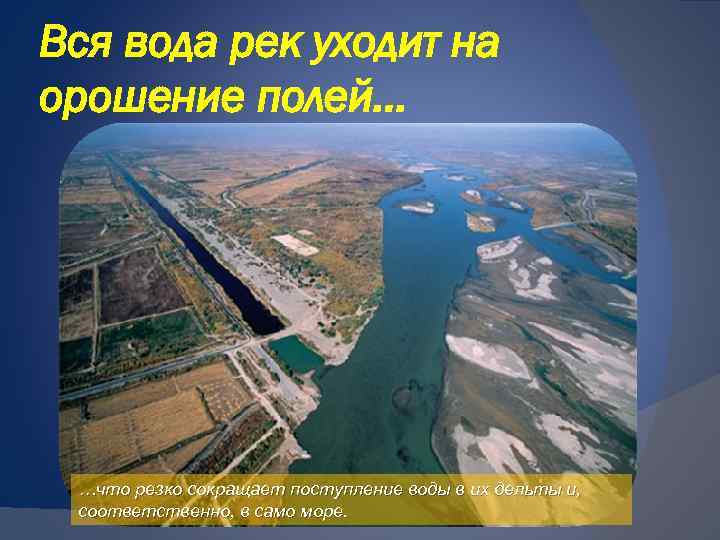 Вся вода рек уходит на орошение полей… …что резко сокращает поступление воды в их