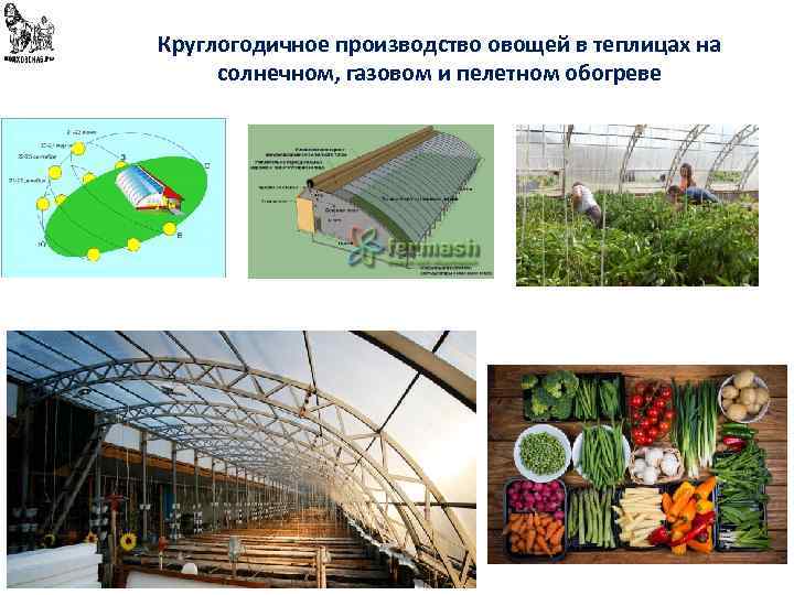 Круглогодичное производство овощей в теплицах на солнечном, газовом и пелетном обогреве 