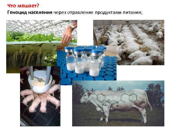 Что мешает? Геноцид населения через отравление продуктами питания; 