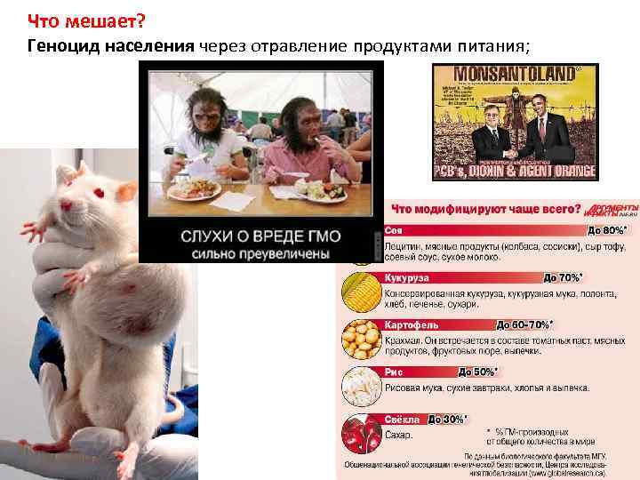 Что мешает? Геноцид населения через отравление продуктами питания; 