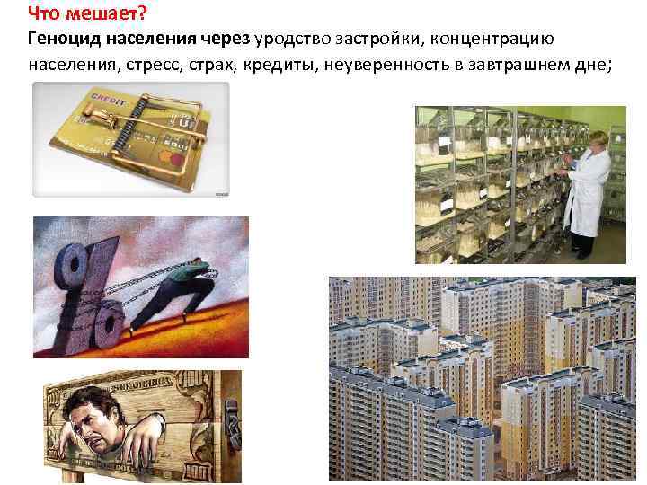 Что мешает? Геноцид населения через уродство застройки, концентрацию населения, стресс, страх, кредиты, неуверенность в