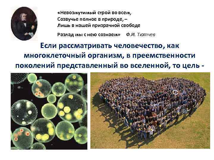  «Невозмутимый строй во всем, Созвучье полное в природе, – Лишь в нашей призрачной
