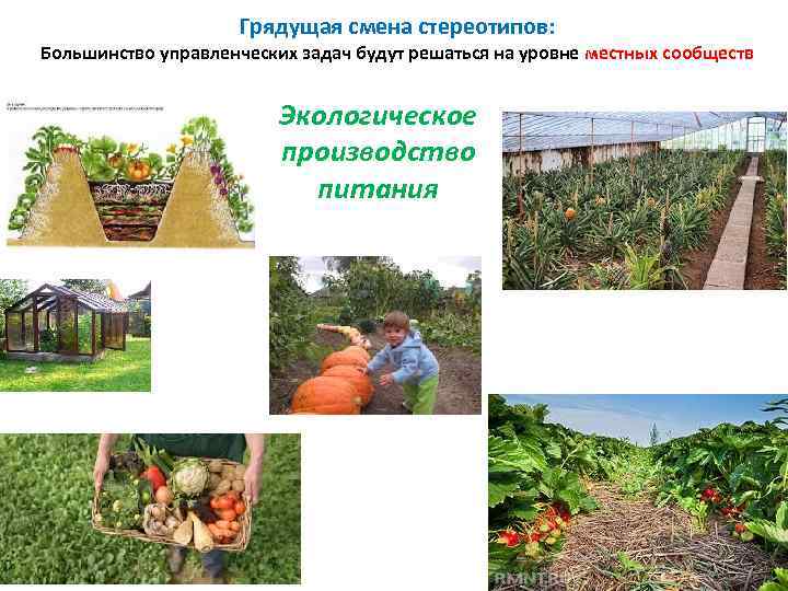 Грядущая смена стереотипов: Большинство управленческих задач будут решаться на уровне местных сообществ Экологическое производство