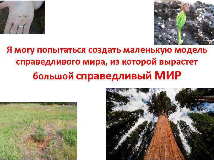  Я могу попытаться создать маленькую модель справедливого мира, из которой вырастет большой справедливый