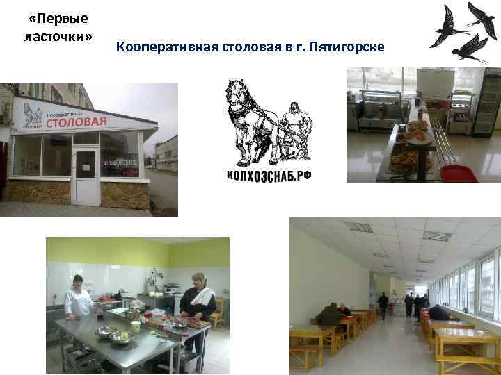  «Первые ласточки» Кооперативная столовая в г. Пятигорске 