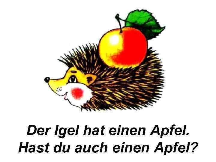 Der Igel hat einen Apfel. Hast du auch einen Apfel? 