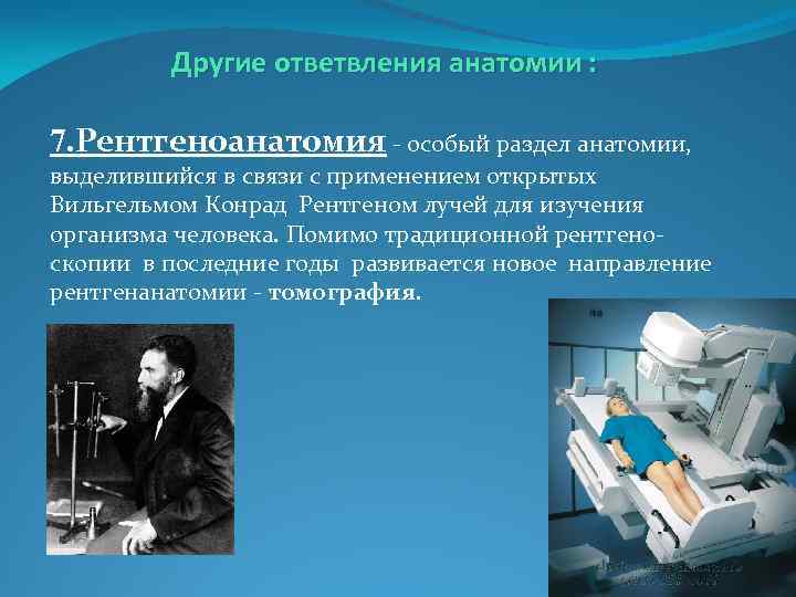 Другие ответвления анатомии : 7. Рентгеноанатомия - особый раздел анатомии, выделившийся в связи с