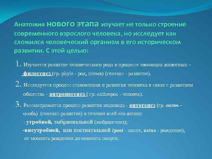 Анатомия нового этапа изучает не только строение современного взрослого человека, но исследует как сложился