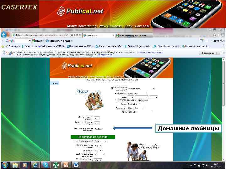 Домашние любимцы 