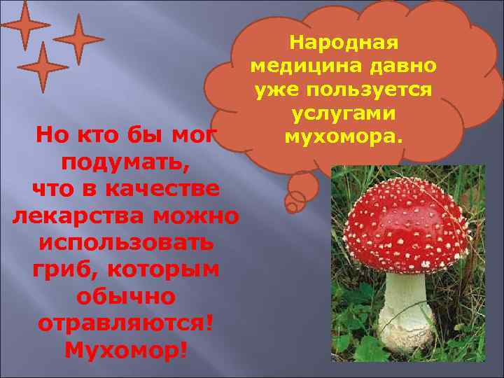 Но кто бы мог подумать, что в качестве лекарства можно использовать гриб, которым обычно