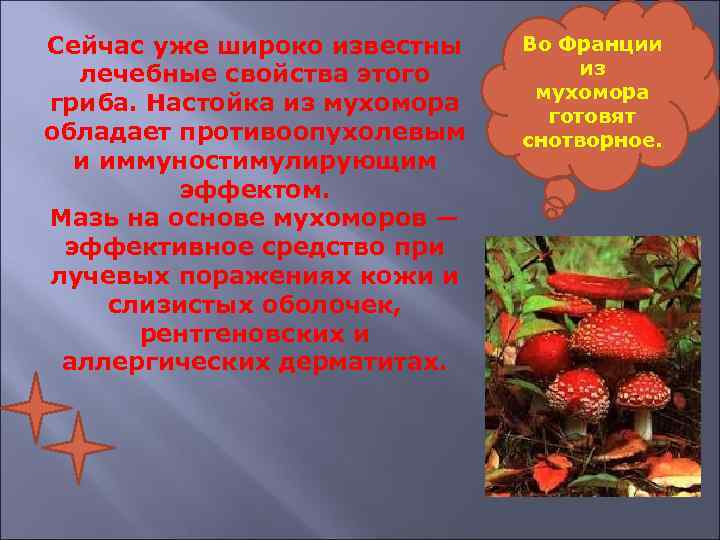 Сейчас уже широко известны лечебные свойства этого гриба. Настойка из мухомора обладает противоопухолевым и