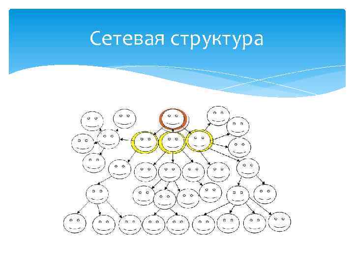 Сетевая структура 