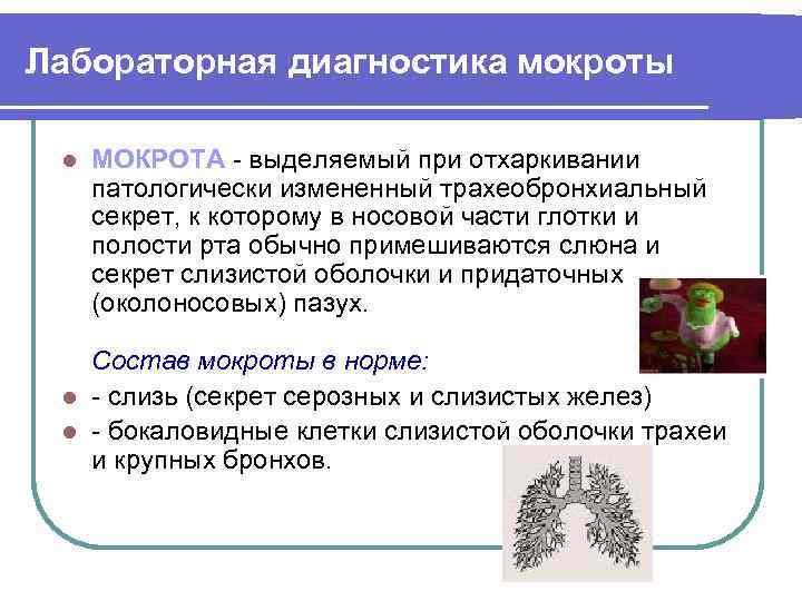 Лабораторная диагностика мокроты l МОКРОТА - выделяемый при отхаркивании патологически измененный трахеобронхиальный секрет, к