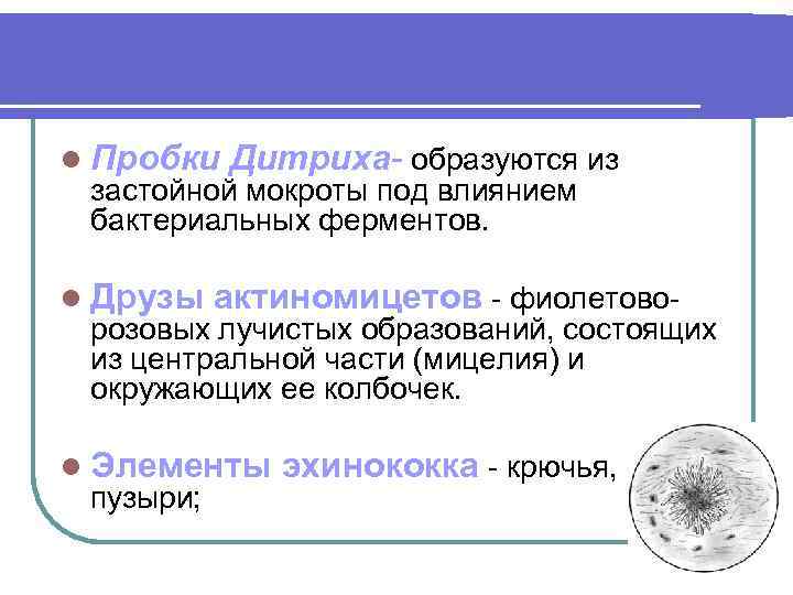 l Пробки Дитриха- образуются из застойной мокроты под влиянием бактериальных ферментов. l Друзы актиномицетов
