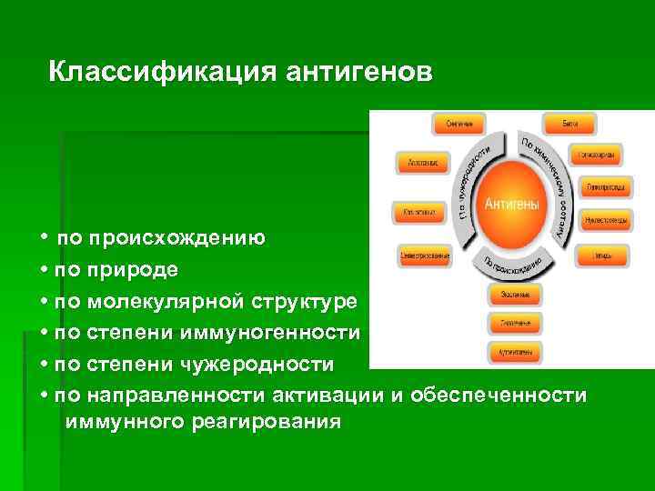 Классификация антигенов • по происхождению • по природе • по молекулярной структуре • по