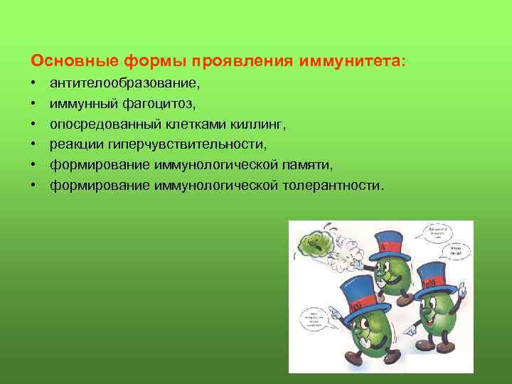 Основные формы проявления иммунитета: • • • антителообразование, иммунный фагоцитоз, опосредованный клетками киллинг, реакции