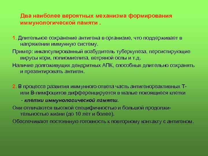 Два наиболее вероятных механизма формирования иммунологической памяти. 1. Длительное сохранение антигена в организме, что