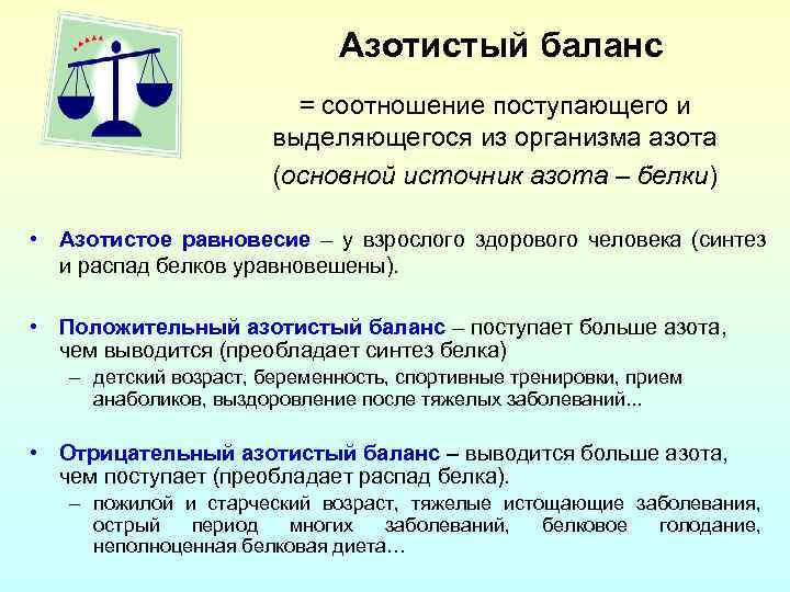 Азотистый баланс = соотношение поступающего и выделяющегося из организма азота (основной источник азота –