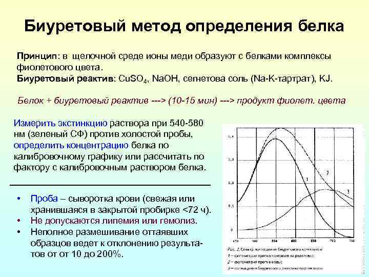 Биуретовый метод определения белка Принцип: в щелочной среде ионы меди образуют с белками комплексы