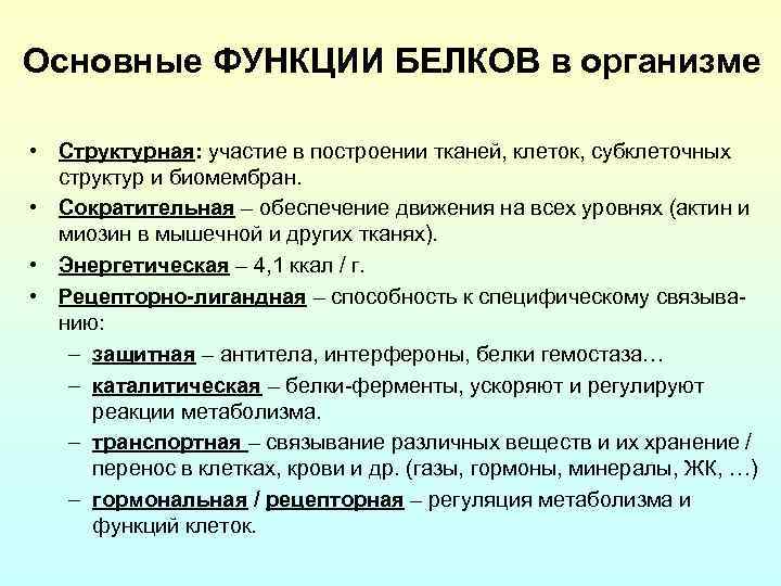 Основные ФУНКЦИИ БЕЛКОВ в организме • Структурная: участие в построении тканей, клеток, субклеточных структур