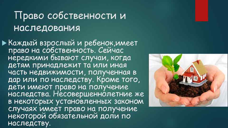 Право собственности и наследования Каждый взрослый и ребенок, имеет право на собственность. Сейчас нередкими