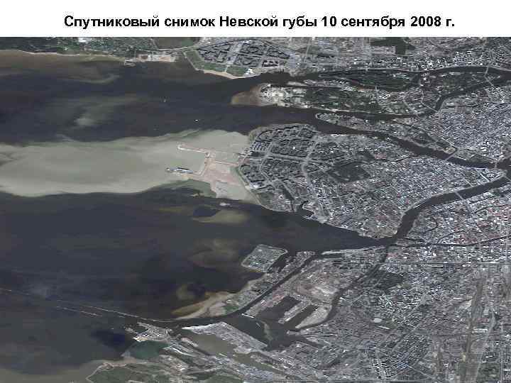 Спутниковый снимок Невской губы 10 сентября 2008 г. 