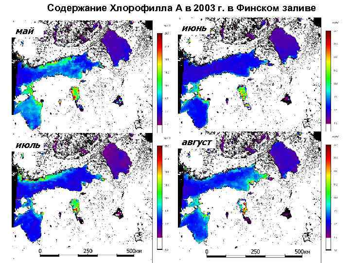 Содержание Хлорофилла А в 2003 г. в Финском заливе май июнь июль август 