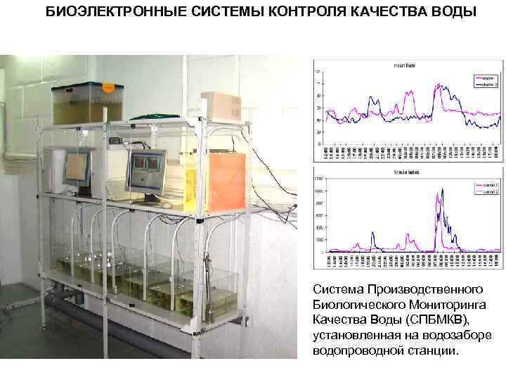 БИОЭЛЕКТРОННЫЕ СИСТЕМЫ КОНТРОЛЯ КАЧЕСТВА ВОДЫ Система Производственного Биологического Мониторинга Качества Воды (СПБМКВ), установленная на