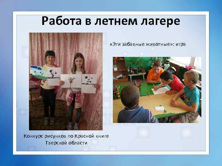 Работа в летнем лагере «Эти забавные животные» : игра Конкурс рисунков по Красной книге