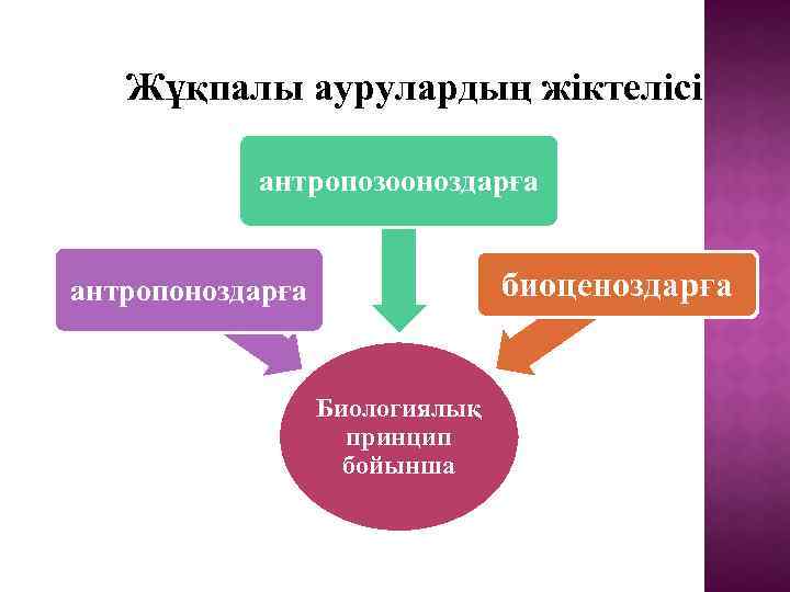 Жұқпалы аурулардың жіктелісі антропозооноздарға биоценоздарға антропоноздарға Биологиялық принцип бойынша 