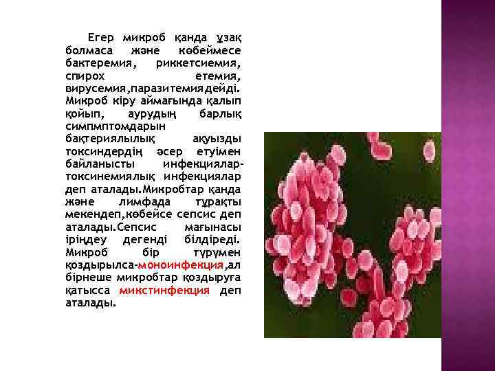 Егер микроб қанда ұзақ болмаса және көбеймесе бактеремия, риккетсиемия, спирох етемия, вирусемия, паразитемия дейді.