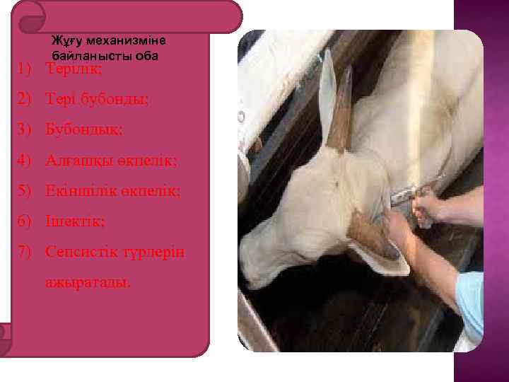 . Жұғу механизміне байланысты оба 1) Терілік; 2) Тері бубонды; 3) Бубондық; 4) Алғашқы